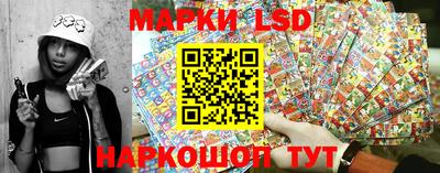 гашик Бийск