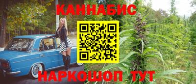 гашик Бийск