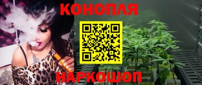 гашик Бийск