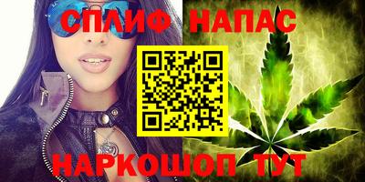 гашик Бийск