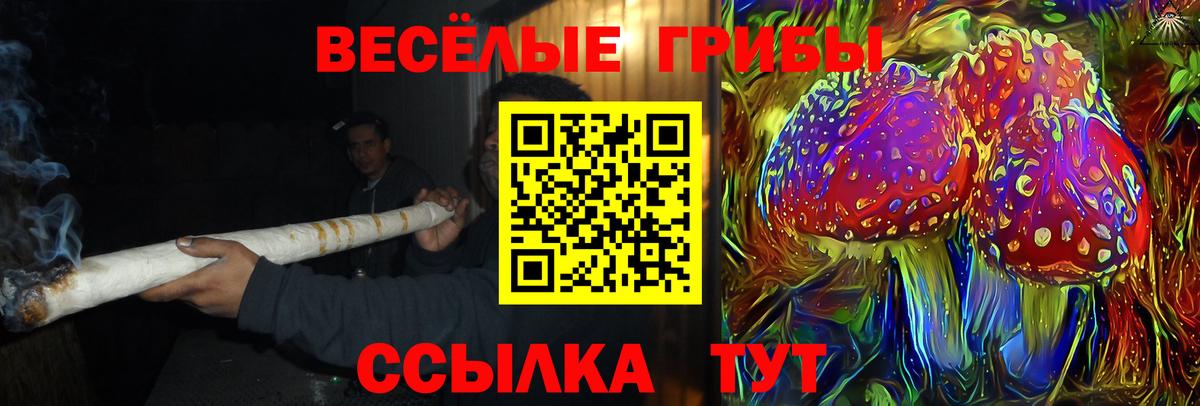 Псилоцибиновые грибы мухоморы  Вход с VPN  Берёзовский  Галлюциногенные грибы Psilocybine cubensis 