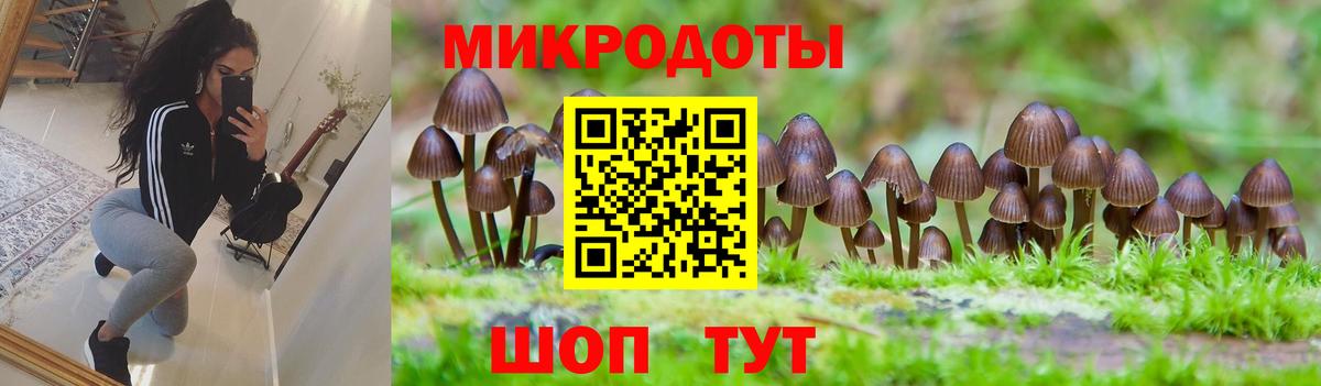 Галлюциногенные грибы GOLDEN TEACHER Берёзовский